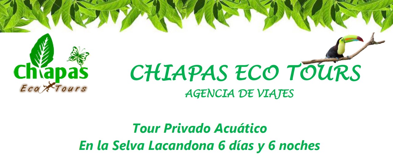 Tour en la Selva Lacandona y rio tzendales