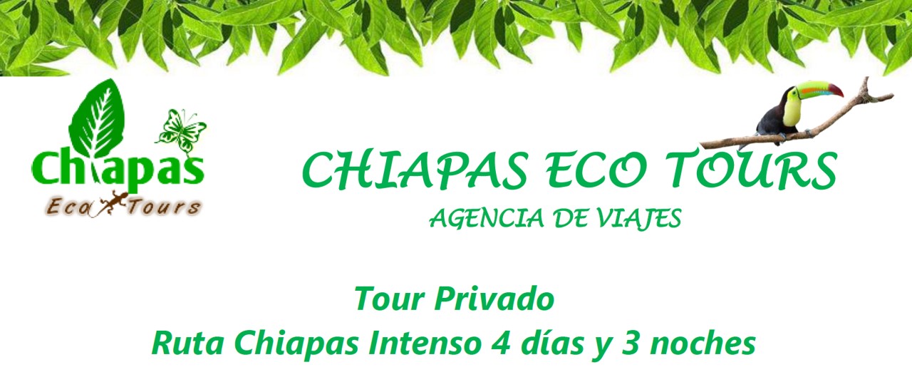 Chiapas Intenso 4 dias y 3 noches