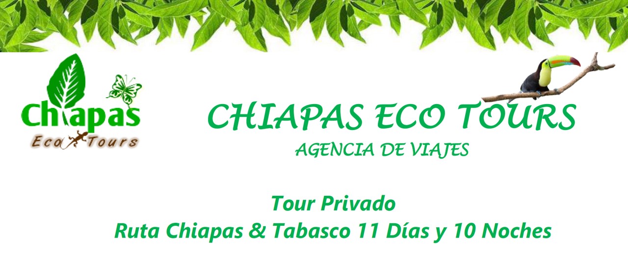 Chiapas 6 dias y 5 noches