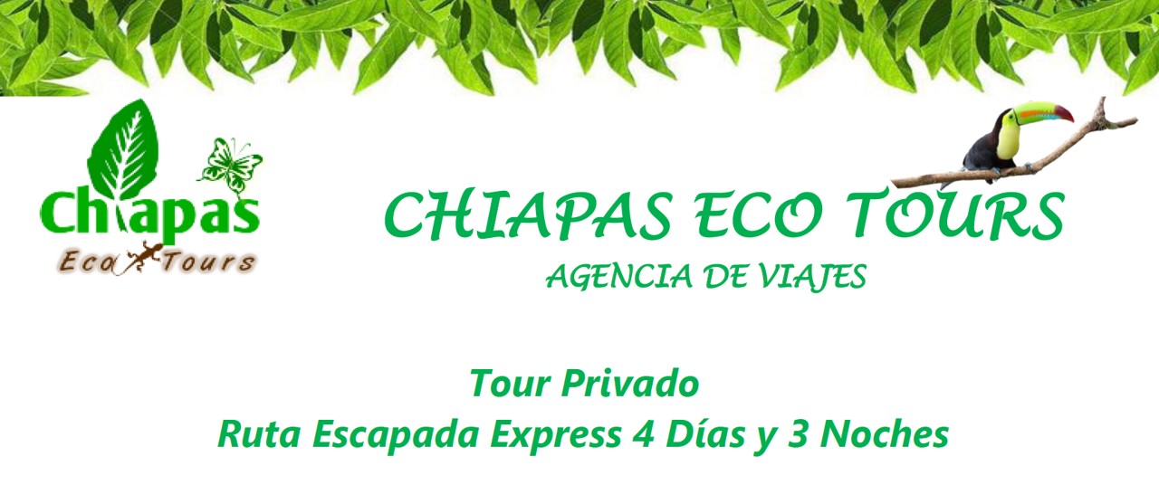 Escapada Express a Chiapas