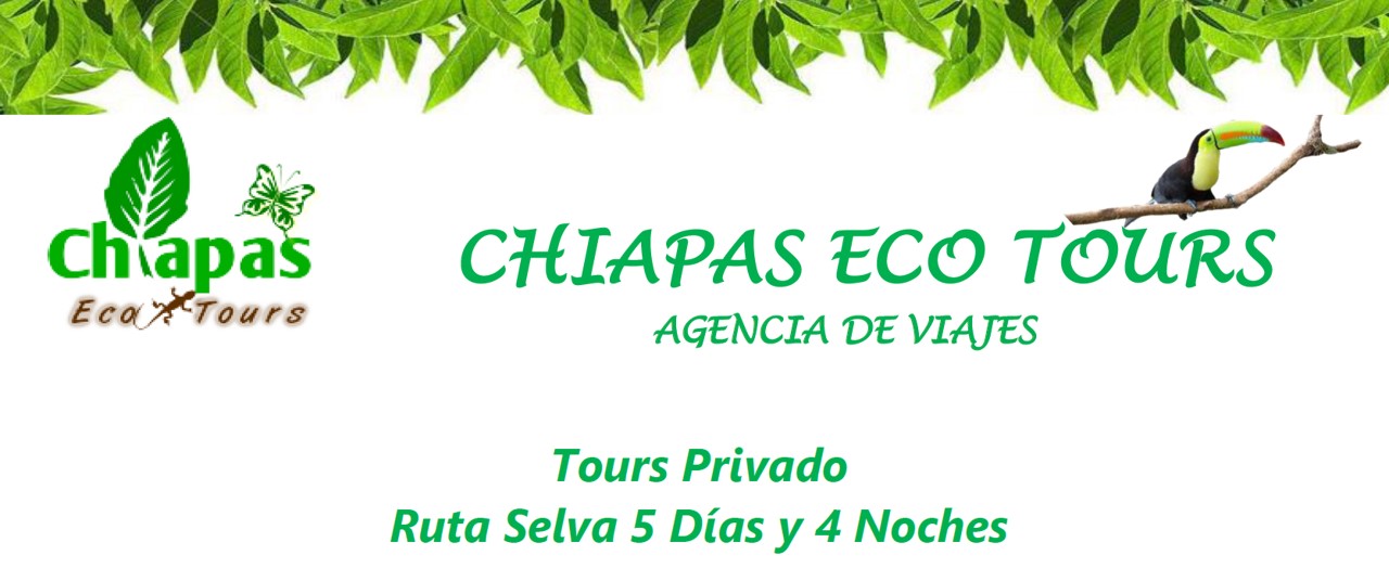 Tour en la Selva Lacandona y rio tzendales